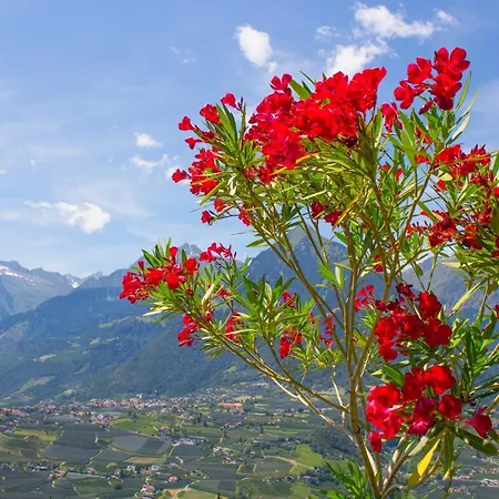 Garni Eden Bed & Breakfast