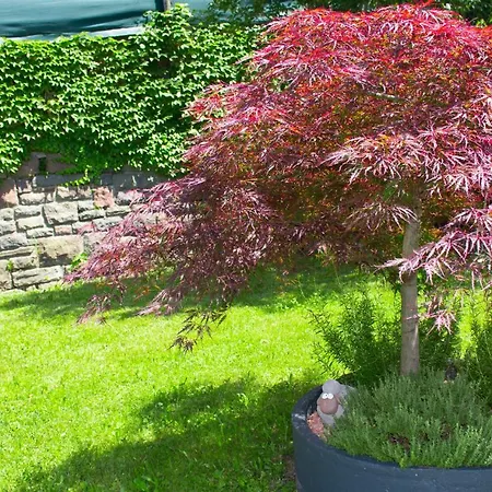 Garni Eden Bed & Breakfast
